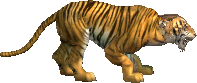虎 · 原版兵种形象