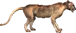 山猫 · 原版兵种形象