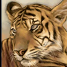 三国群英传3 猛虎 头像