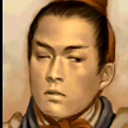 三国群英传5 何仪 头像