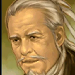 三国群英传5 华陀 头像