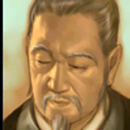三国群英传5 山涛 头像