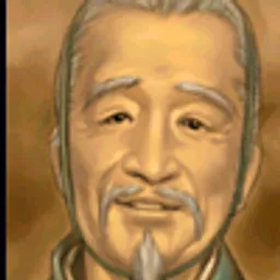 三国群英传5 张陵 头像