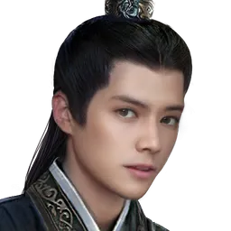 三国群英传8 曹奂 头像