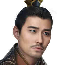 三国群英传8 邓芝 头像