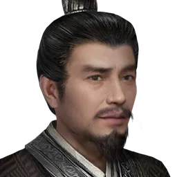 三国群英传8 董和 头像
