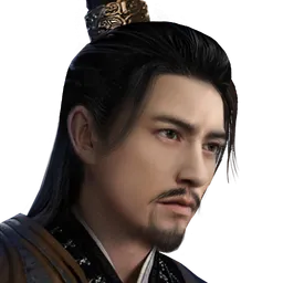 三国群英传8 费祎 头像