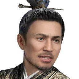 三国群英传8 孙和 头像