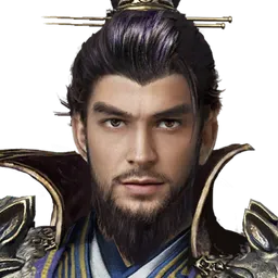 三国群英传8 孙权 头像