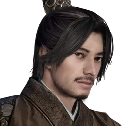 三国群英传8 杨怀 头像